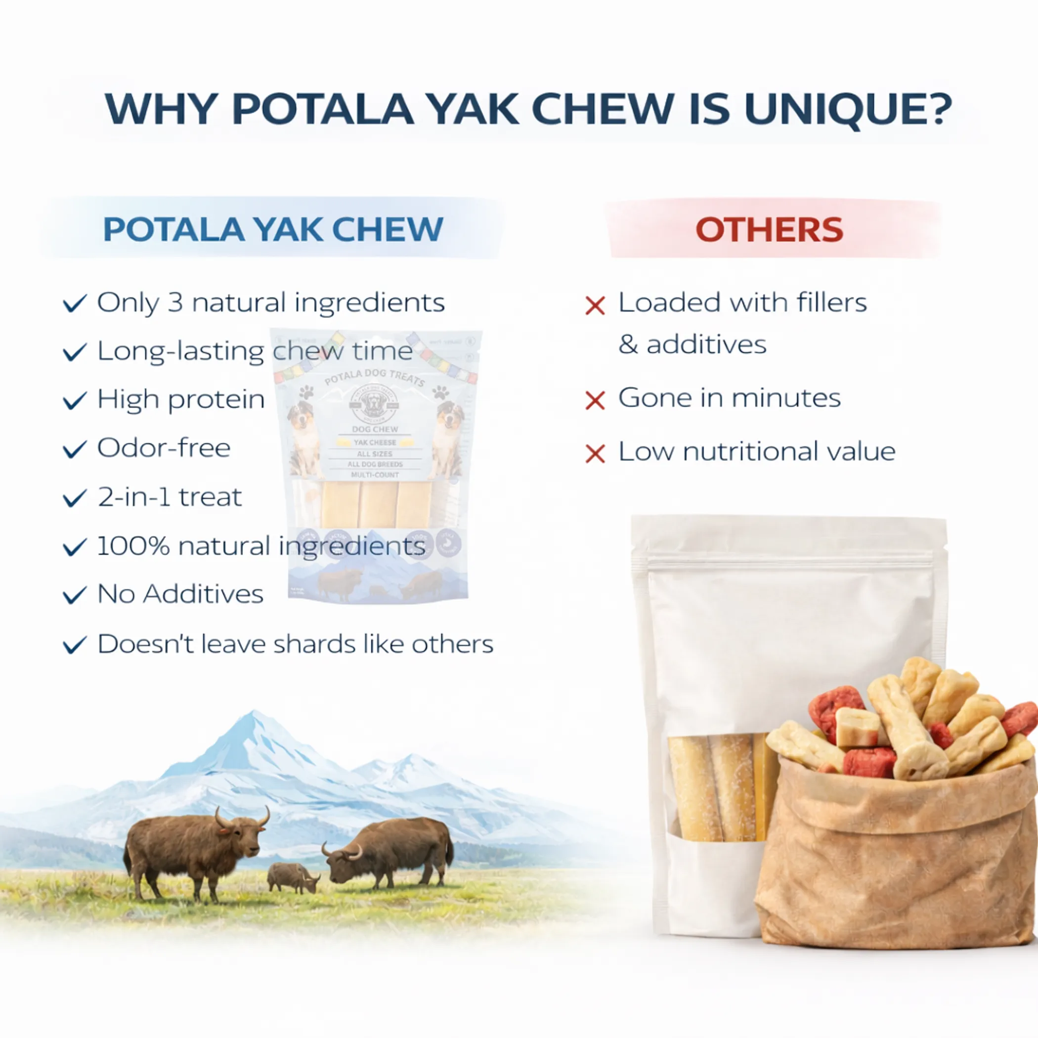 3387-Potala-XLV3-1CT.4.td_size_1