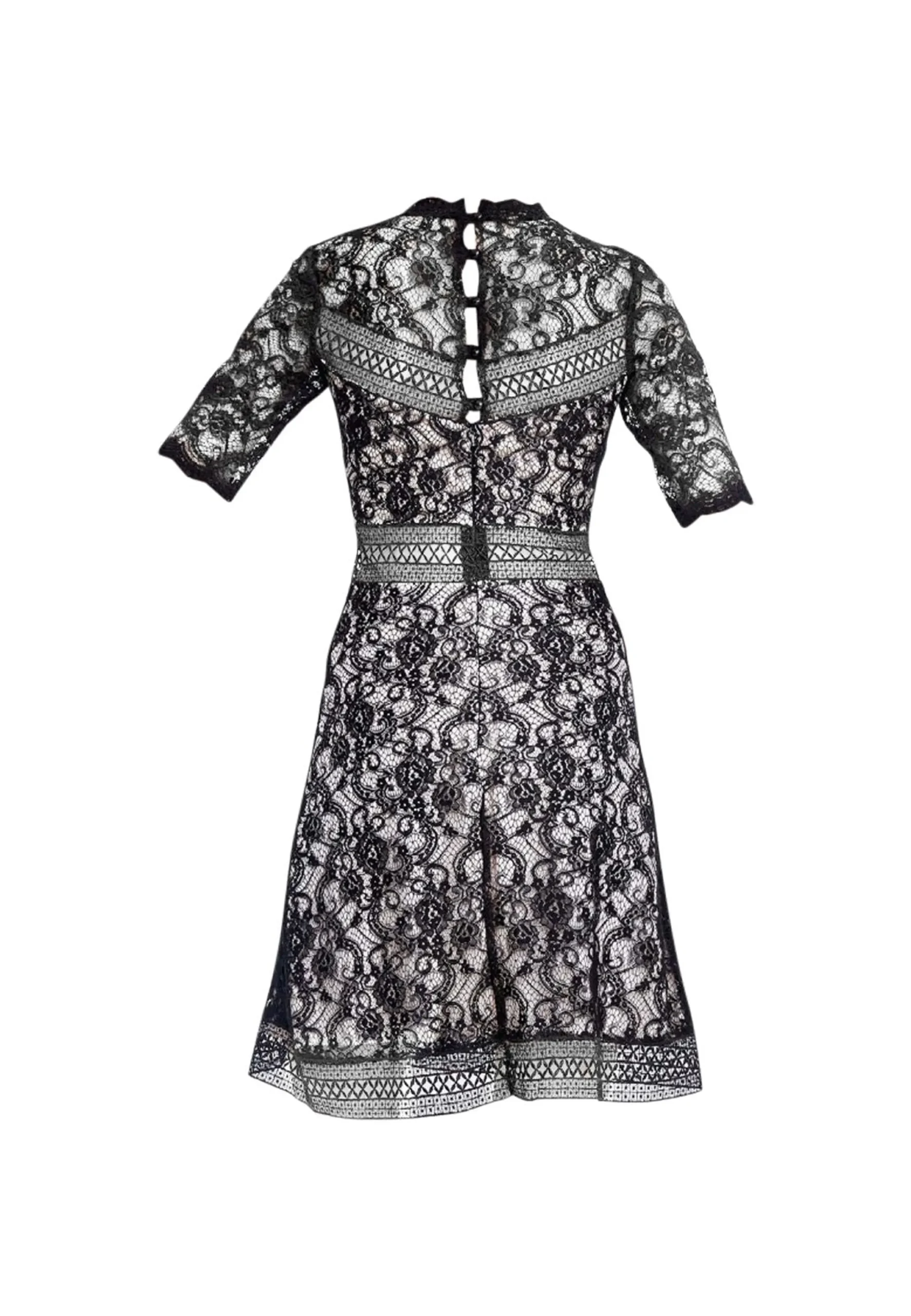 1232-196044951740.3.td_size_1