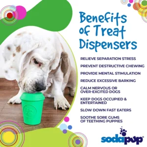 Pet Care