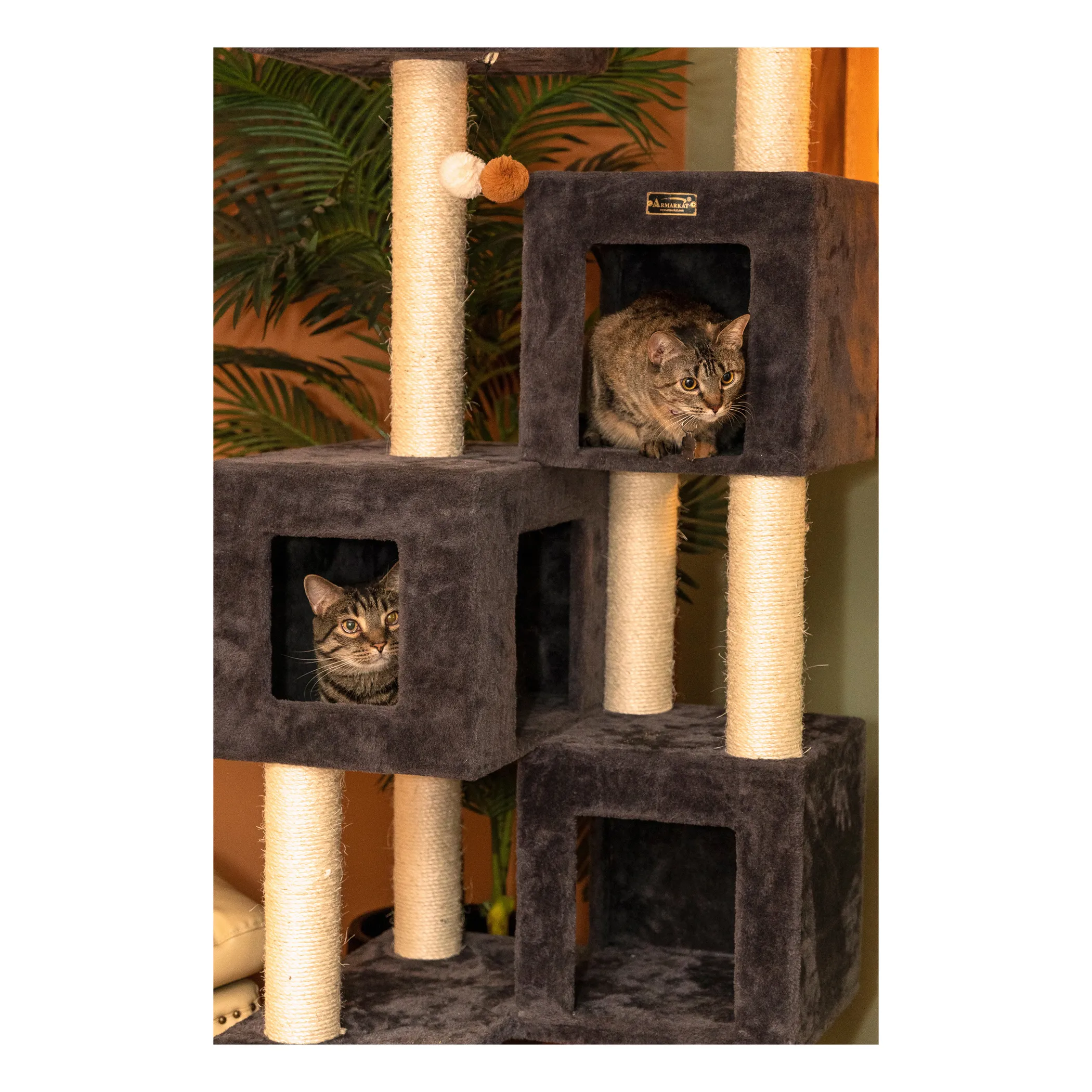 Griant Real Wood Cat Tower for Multiple Cats A8104 - Image 5